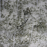 Lotus Folium