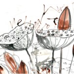 Nelumbo