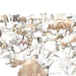 Bufalo im Cilento_2022-06-24