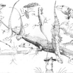 Eidechsen und mehr im Cilento-2022-07-02