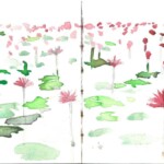 Tro Peng Saiu - Lotusteich 22.11.2016