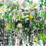 Urwald auf Kho Rong Samloem 3.12.2016