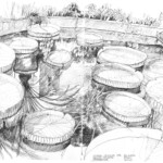 Victoria Cruziana Org. Bot.Garten Padua 30.9.2021